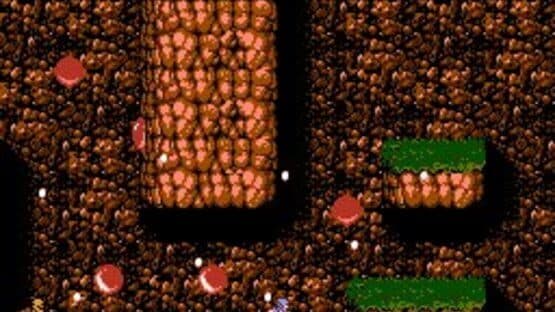 Ninja Gaiden II: The Dark Sword of Chaos — screenshot 2
