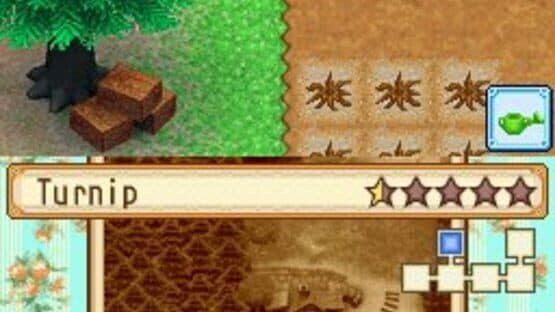 Harvest Moon DS: Grand Bazaar — screenshot 5