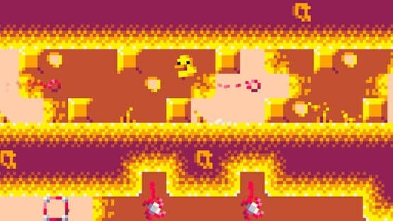Duck Souls — screenshot 3