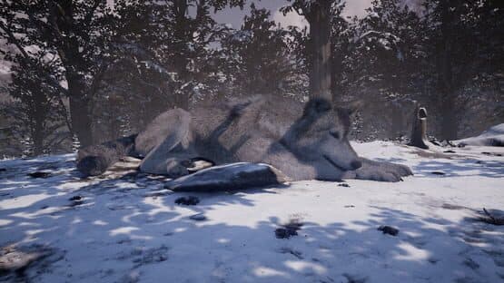 Nephise — screenshot 4