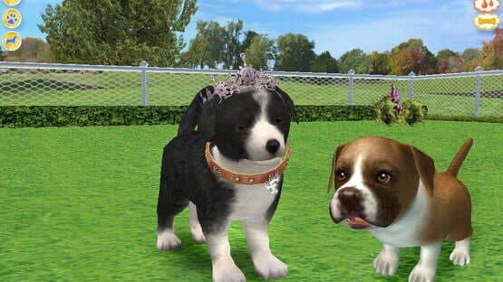 Petz: Dogz 2 — screenshot 2