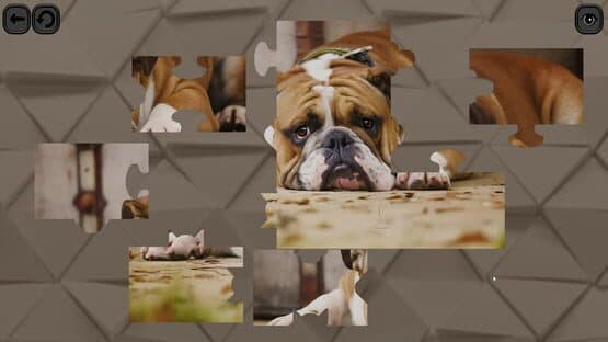 Puzzles for smart: Dogs — screenshot 2
