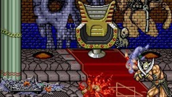 Ninja Gaiden — screenshot 6