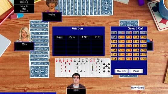Hoyle Official Card Games Collection — screenshot 4