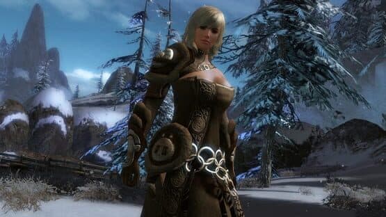 Guild Wars 2 — screenshot 1