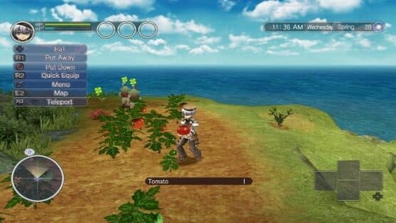 Rune Factory: Tides of Destiny — screenshot 2