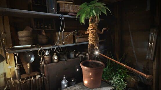 Fantastic Beasts and Where to Find Them — screenshot 1