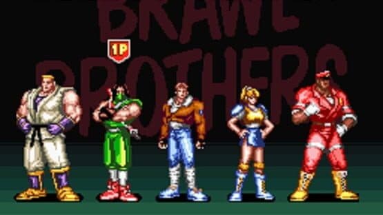 Brawl Brothers — screenshot 3
