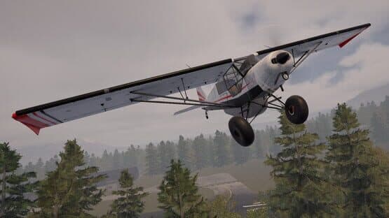 Deadstick: Bush Flight Simulator — screenshot 8