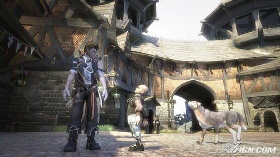 Fable II — screenshot 1