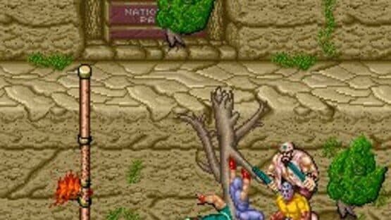 Ninja Gaiden — screenshot 5