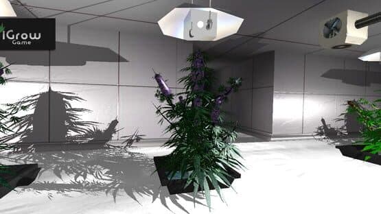 iGrow Game — screenshot 2