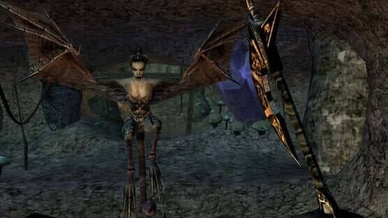 The Elder Scrolls III: Morrowind - Game of the Year Edition — screenshot 4