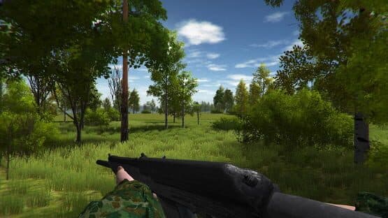 Duck Hunting — screenshot 3