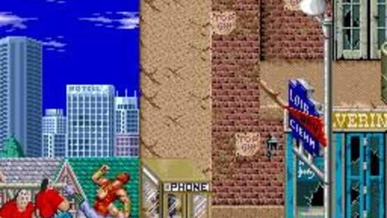 Ninja Gaiden — screenshot 2