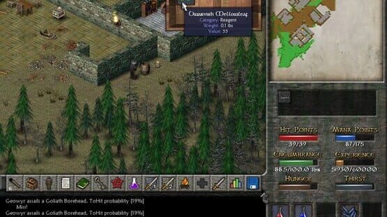 Eschalon: Book II — screenshot 3
