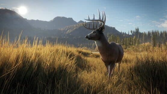 TheHunter: Call of the Wild — screenshot 8