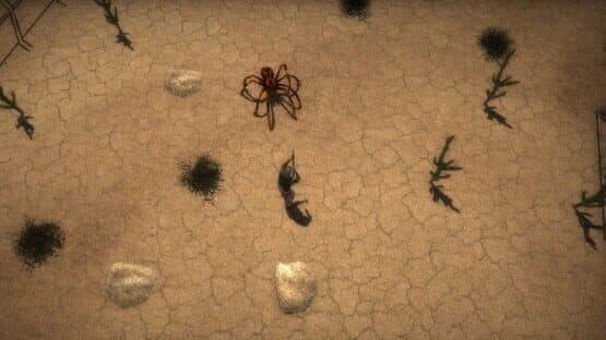 Spiiiders — screenshot 5