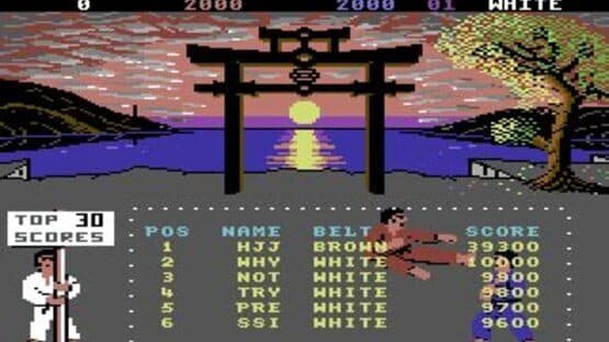 International Karate + — screenshot 2