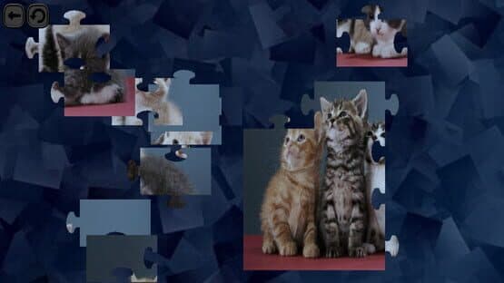 Puzzles for smart: Cats — screenshot 2
