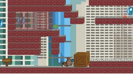 Calico & Co — screenshot 3