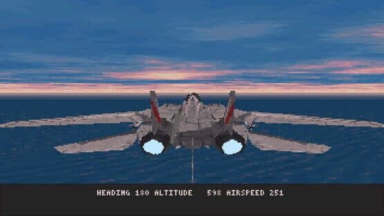 Fleet Defender: The F-14 Tomcat Simulation — screenshot 2