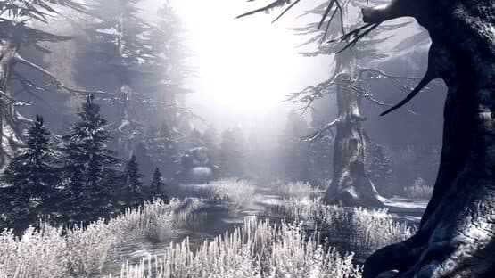 The Incredible Adventures of Van Helsing II — screenshot 3
