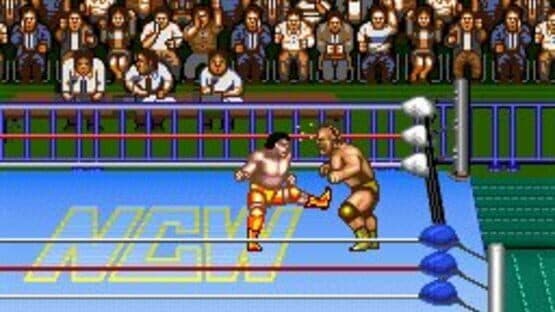 Natsume Championship Wrestling — screenshot 3