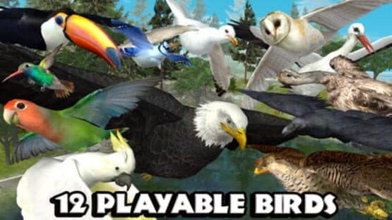 Ultimate Bird Simulator — screenshot 3