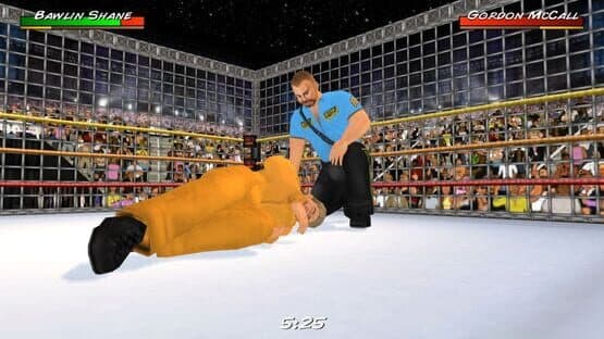Wrestling Revolution 3D — screenshot 5