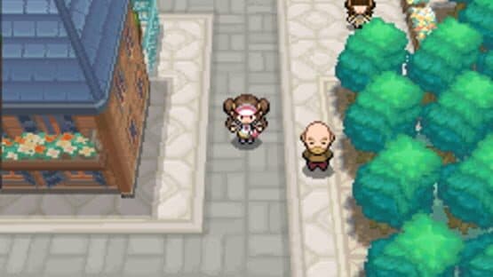 Pokémon Black Version 2 — screenshot 7