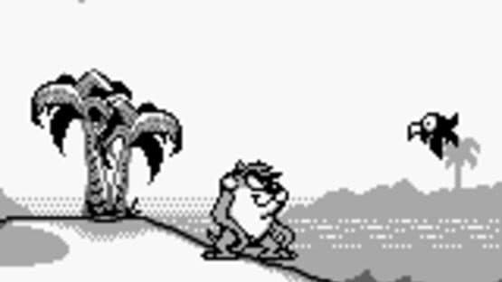 Taz-Mania — screenshot 3