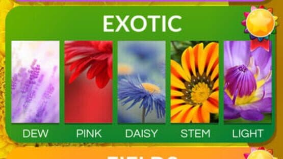 Word Flowers — screenshot 3