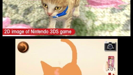 Nintendogs + Cats: French Bulldog & New Friends — screenshot 6
