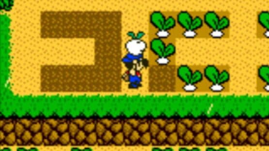 Harvest Moon 3 GBC — screenshot 2