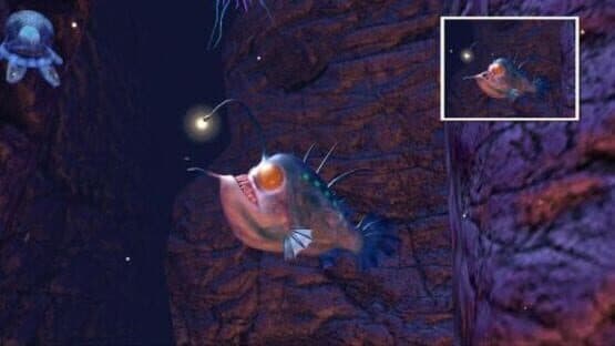 Sea Life Safari — screenshot 1