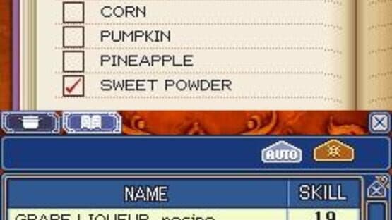 Rune Factory 2: A Fantasy Harvest Moon — screenshot 1