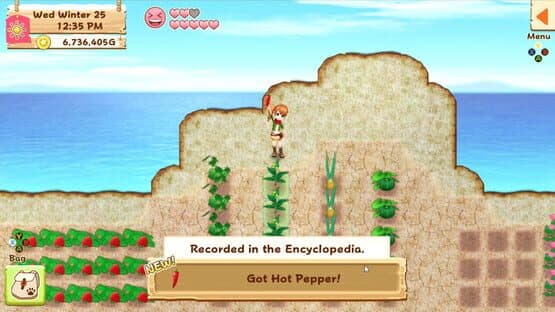 Harvest Moon: Light of Hope — screenshot 3