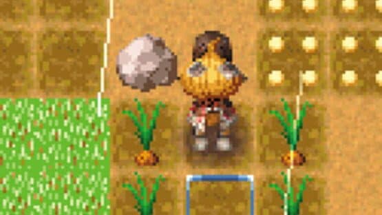 Rune Factory: A Fantasy Harvest Moon — screenshot 6
