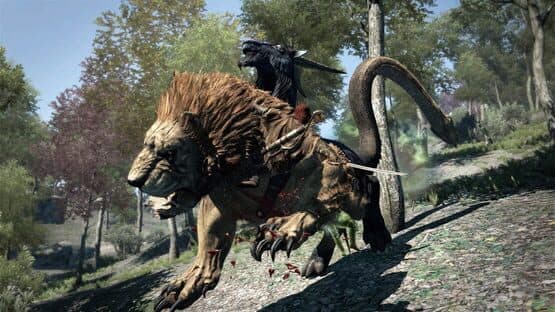 Dragon's Dogma: Dark Arisen — screenshot 8