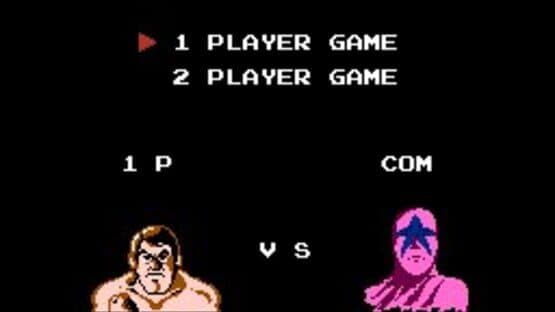 Pro Wrestling — screenshot 6