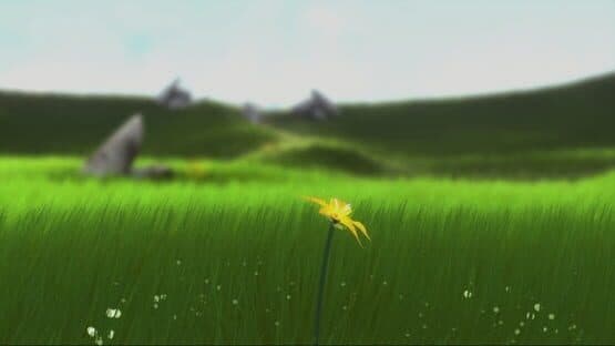 Flower — screenshot 5