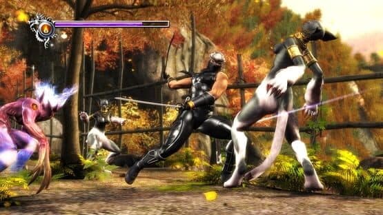 Ninja Gaiden Sigma — screenshot 4