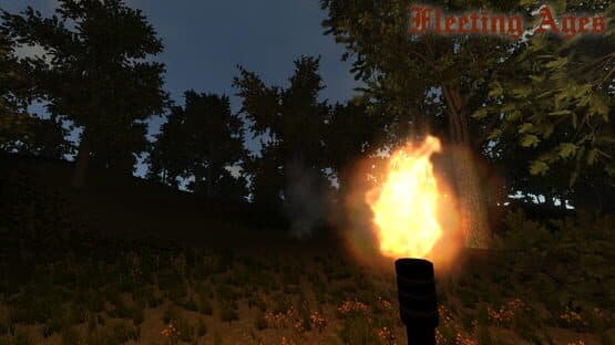 Fleeting Ages — screenshot 5