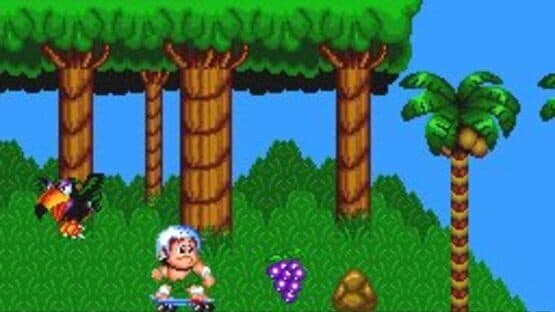New Adventure Island — screenshot 3