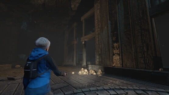 Through the Woods — screenshot 1
