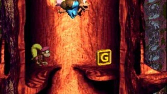 Donkey Kong Country 3: Dixie Kong's Double Trouble! — screenshot 8