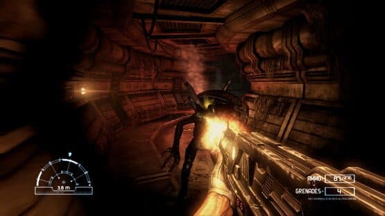 Aliens vs. Predator — screenshot 5