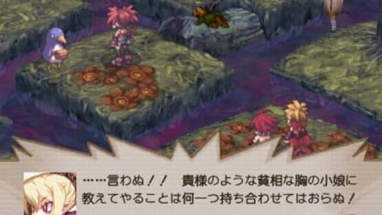 Disgaea 2: Cursed Memories — screenshot 2