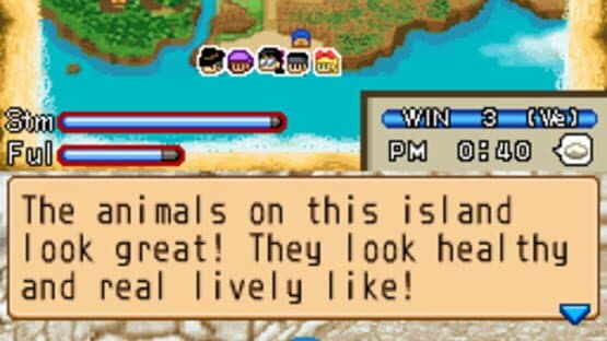 Harvest Moon DS: Island of Happiness — screenshot 7